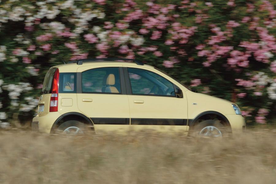  Fiat Panda 4x4 2005 года  (фото 62 из 76)